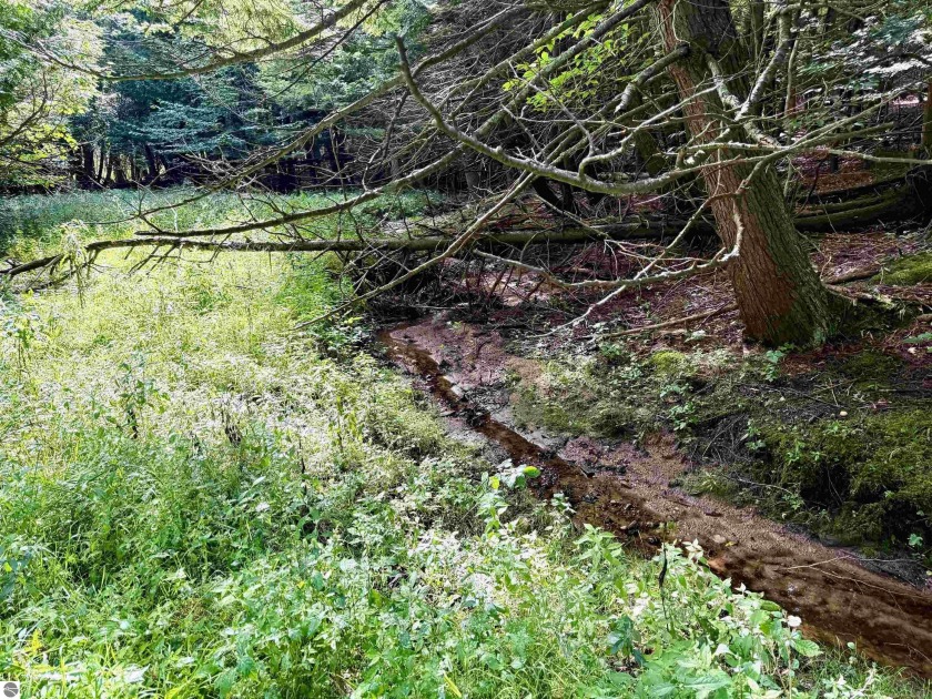 Tucked away in the heart of iconic Leelanau County, this - Beach Acreage for sale in Maple City, Michigan on Beachhouse.com