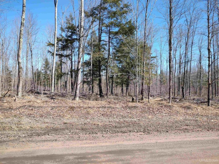 PARCEL D is located in north-eastern Baraga County along a good - Beach Acreage for sale in L Anse, Michigan on Beachhouse.com