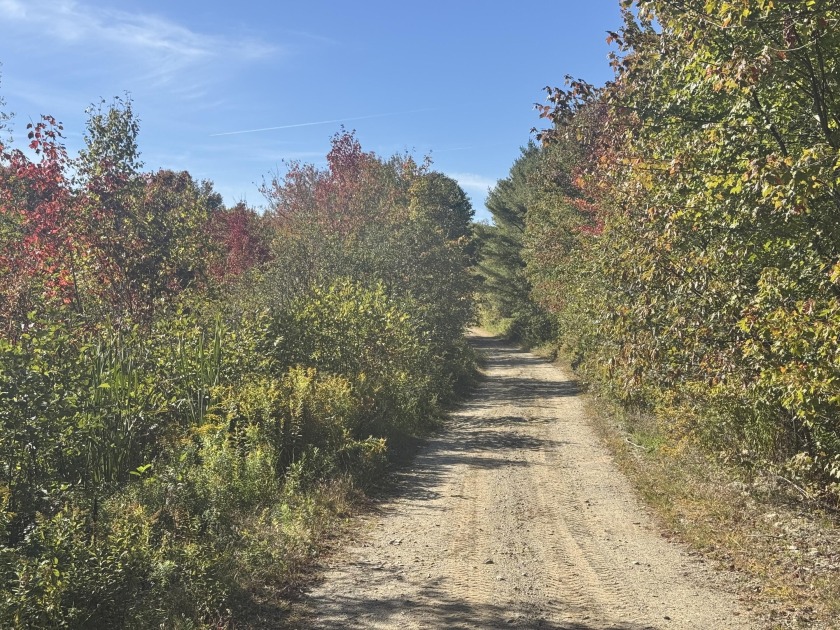Rural 12.9 acre surveyed lot with shared driveway (ROW) and - Beach Acreage for sale in Stockton Springs, Maine on Beachhouse.com