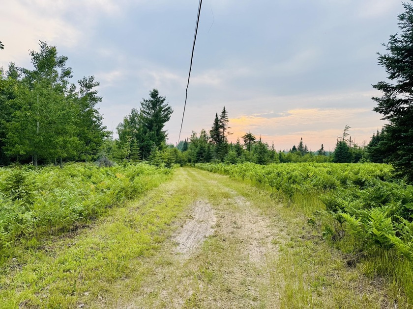 A Rare Slice of Northern Michigan Paradise Welcome to this truly - Beach Acreage for sale in Alpena, Michigan on Beachhouse.com