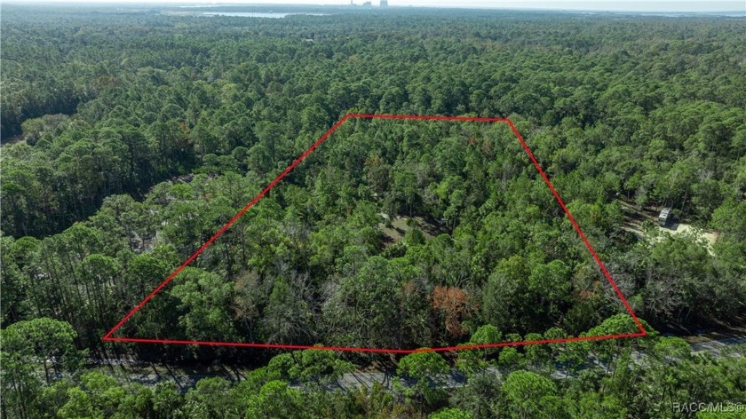 Fisherman, hunters and outdoorsmen and women, 5.99 acres of - Beach Acreage for sale in Yankeetown, Florida on Beachhouse.com