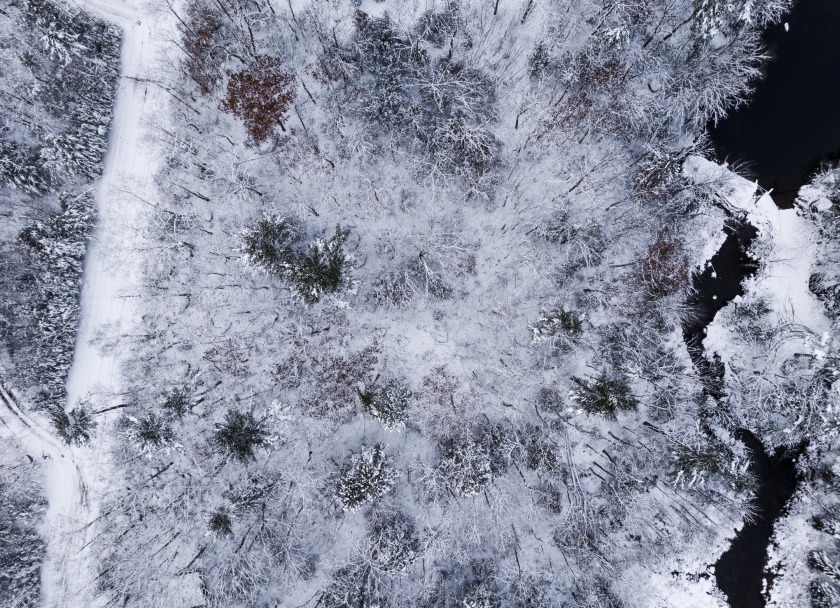 Check out this serene and private plot tucked away off Patten - Beach Lot for sale in Surry, Maine on Beachhouse.com