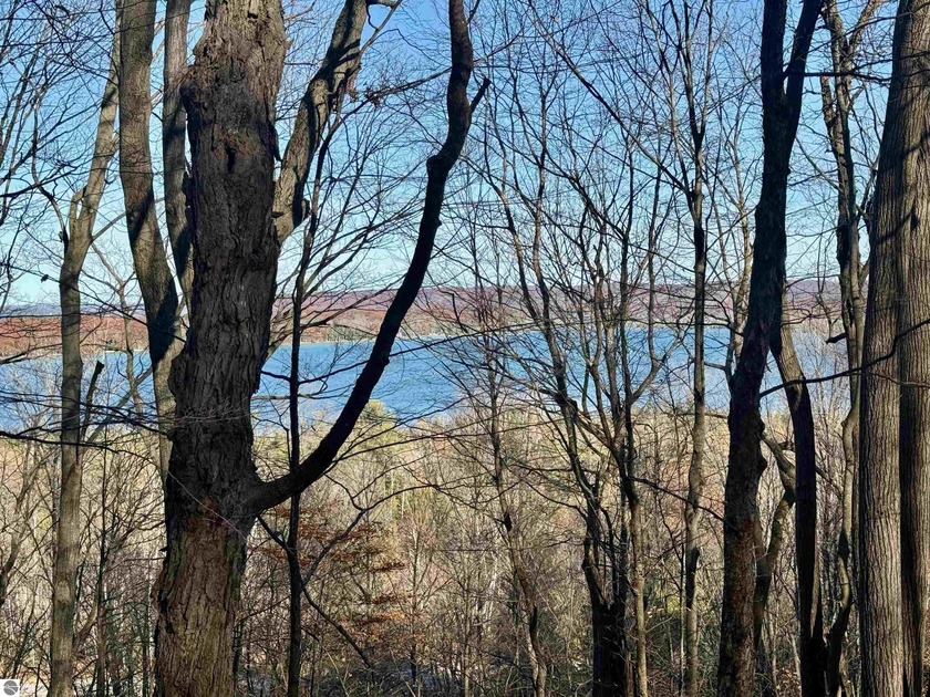 Positioned along iconic M-22 in a prime location--this parcel is - Beach Acreage for sale in Maple City, Michigan on Beachhouse.com