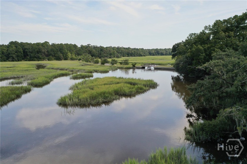 1.05 acre buildable lot on the Lincoln River with amazing views - Beach Lot for sale in Richmond Hill, Georgia on Beachhouse.com