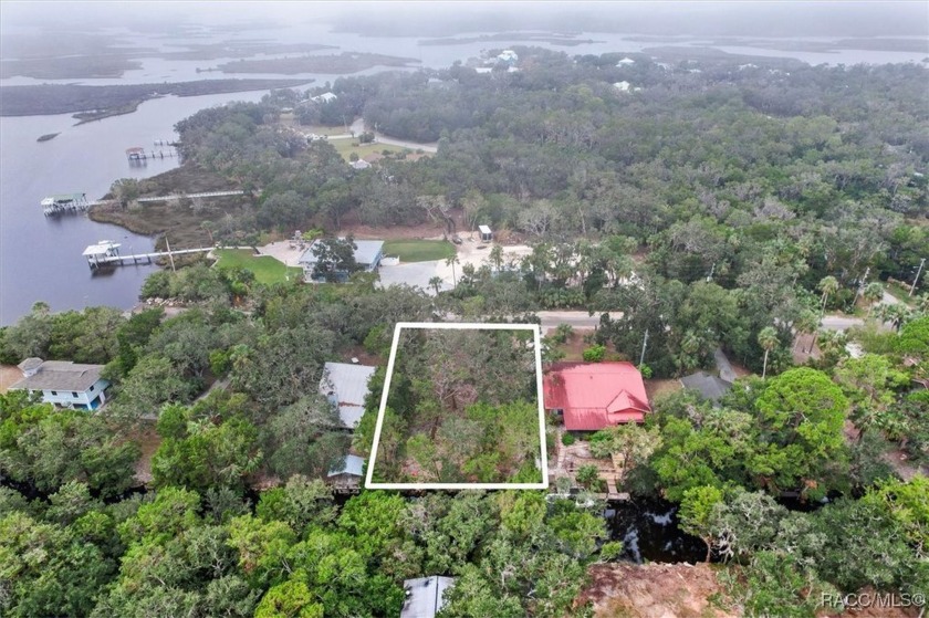 Own your own piece of paradise in Old Homosassa! This ideal - Beach Lot for sale in Homosassa, Florida on Beachhouse.com