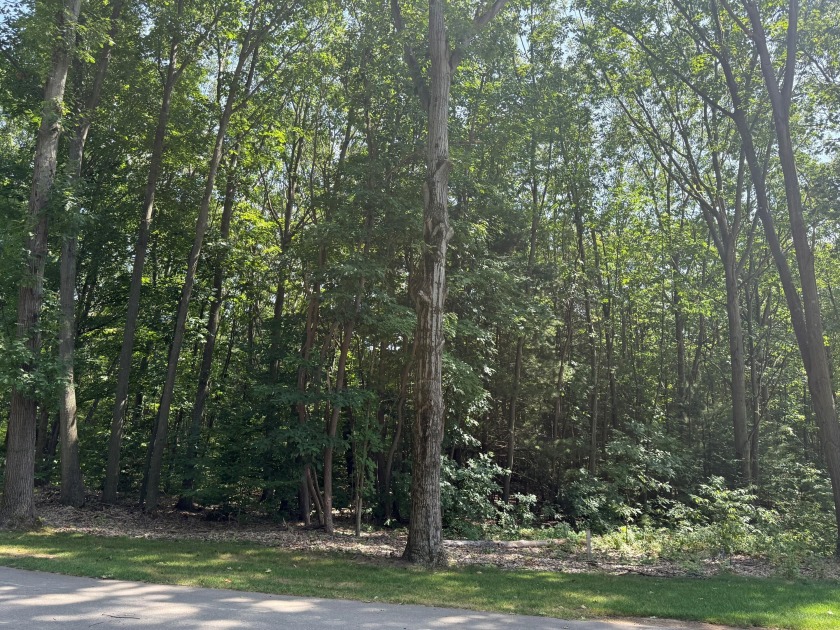 Secure your spot in Wood Crest Today! Don't miss the opportunity - Beach Lot for sale in South Haven, Michigan on Beachhouse.com
