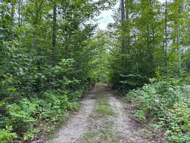 Diverse 41 acre parcel with roads throughout. Oak, Maple, Beech - Beach Acreage for sale in Presque Isle, Michigan on Beachhouse.com