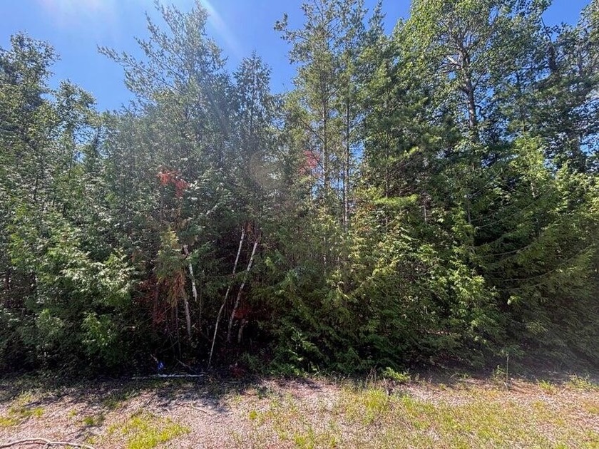 Private wooded quadruple lot in the Presque Isle Harbor - Beach Lot for sale in Presque Isle, Michigan on Beachhouse.com