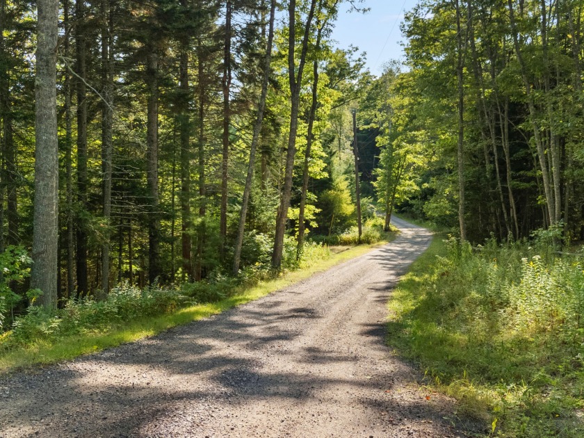 A rare opportunity to own 10.8 acres of private, partially - Beach Acreage for sale in Phippsburg, Maine on Beachhouse.com
