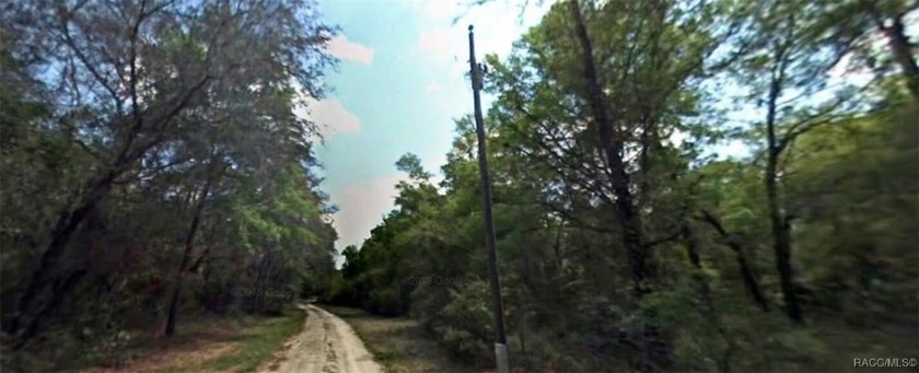 Why This Property Stands Out: Build your dream home on this - Beach Lot for sale in Crystal River, Florida on Beachhouse.com