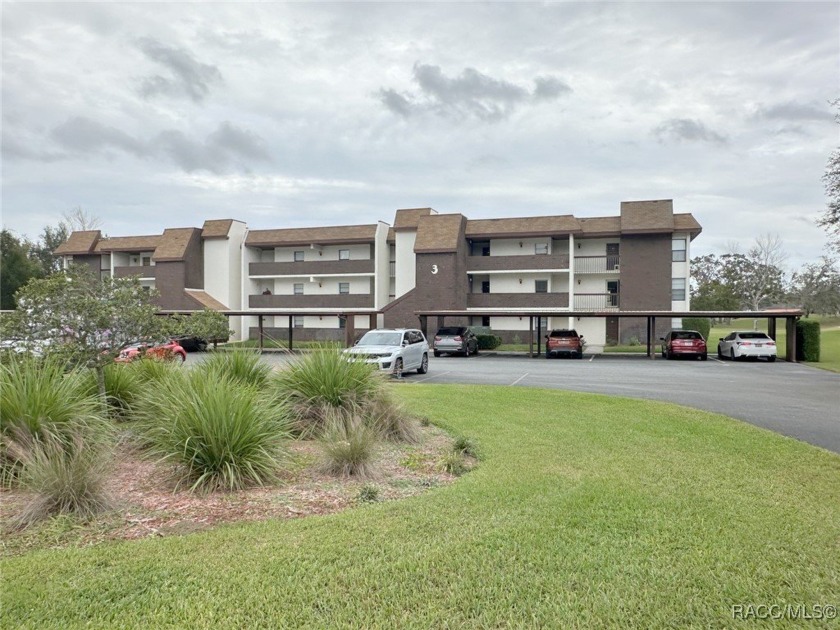 LOCATION! LOCATION! LOCATION! for this 2 bedroom 2 bath first - Beach Condo for sale in Homosassa, Florida on Beachhouse.com