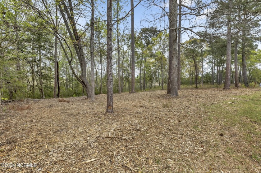 Looking to plant roots in the Highly Sought after Kings Harbor - Beach Acreage for sale in Holly Ridge, North Carolina on Beachhouse.com