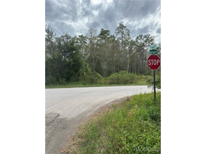 Discover the potential of this stunning 3.21-acre wooded lot - Beach Acreage for sale in New Port Richey, Florida on Beachhouse.com