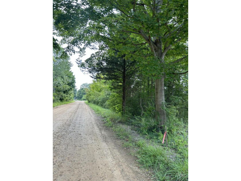 Build a barndominium or a storage building on this lovely - Beach Lot for sale in South Haven, Michigan on Beachhouse.com