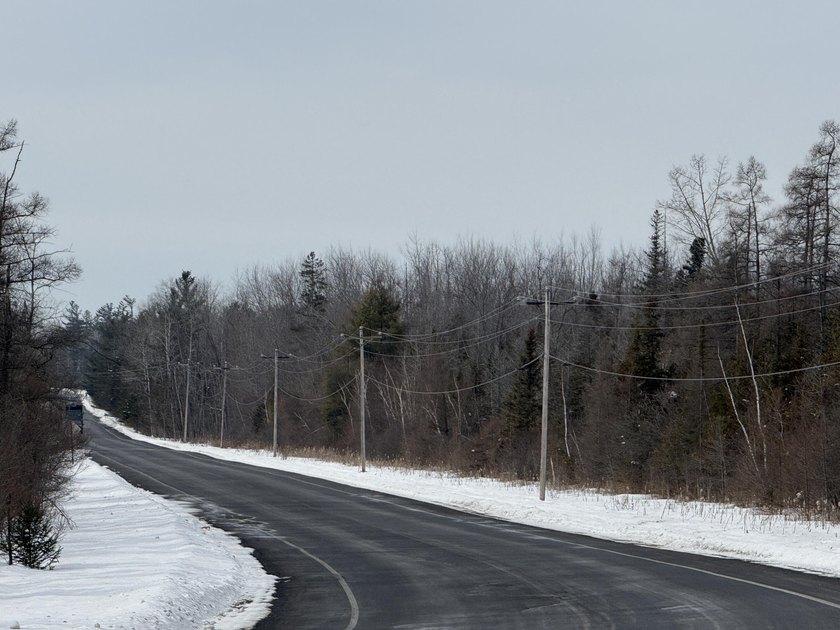 Discover an incredible opportunity on nearly 50 acres of flat - Beach Acreage for sale in Cheboygan, Michigan on Beachhouse.com
