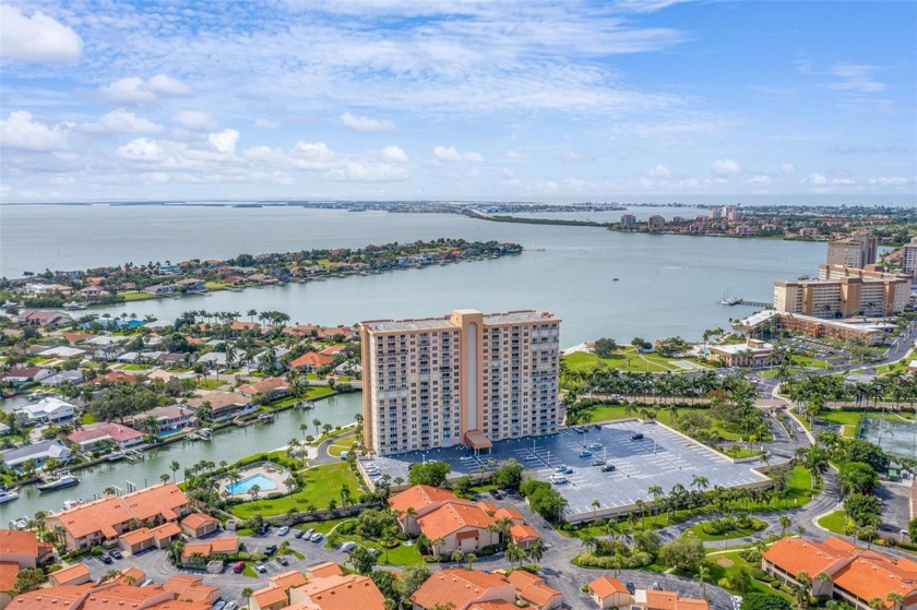You will be captivated by the views of the sparkling waters of - Beach Condo for sale in St. Petersburg, Florida on Beachhouse.com