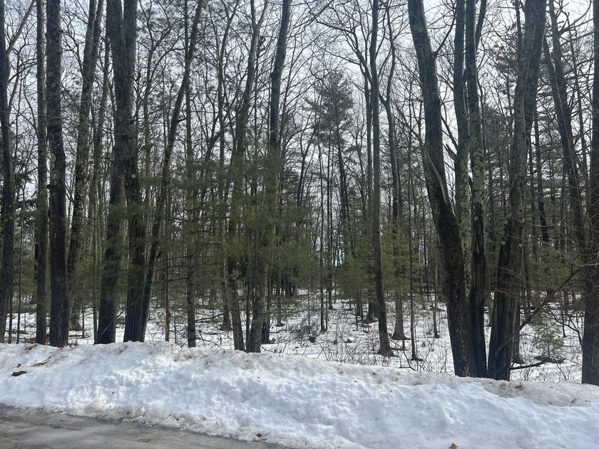 Tucked away on a quiet cul-de-sac, this beautiful private wooded - Beach Lot for sale in Harrisville, Michigan on Beachhouse.com