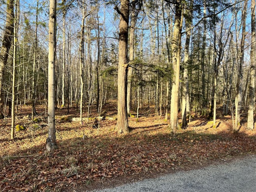Beautiful wooded lot great for building your Door County home! - Beach Lot for sale in Sturgeon Bay, Wisconsin on Beachhouse.com
