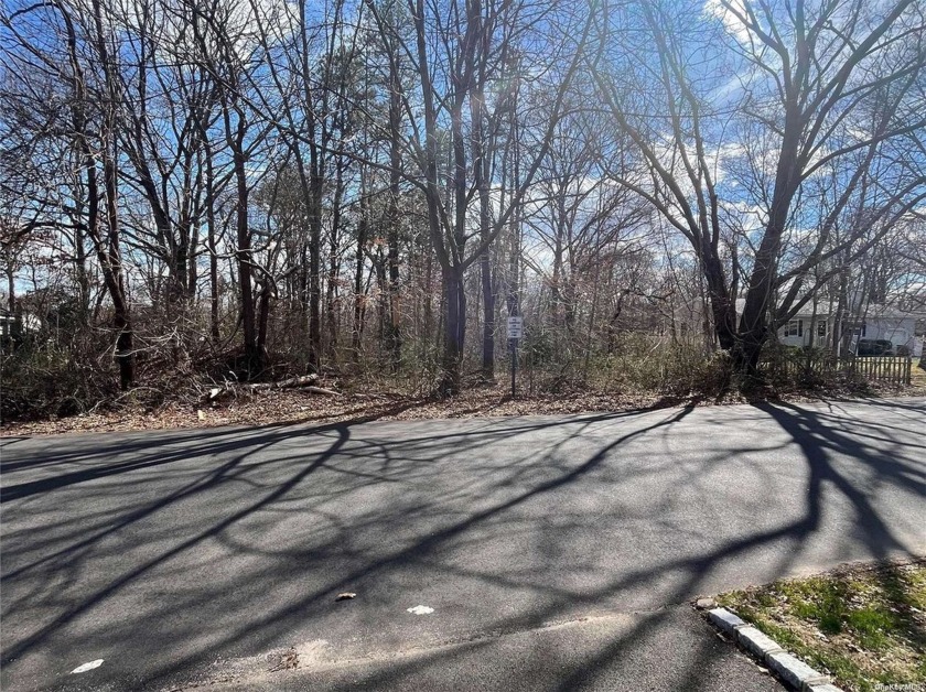 5 acre residential lot, wooded. Sits between Rowlinson and - Beach Lot for sale in Shirley, New York on Beachhouse.com