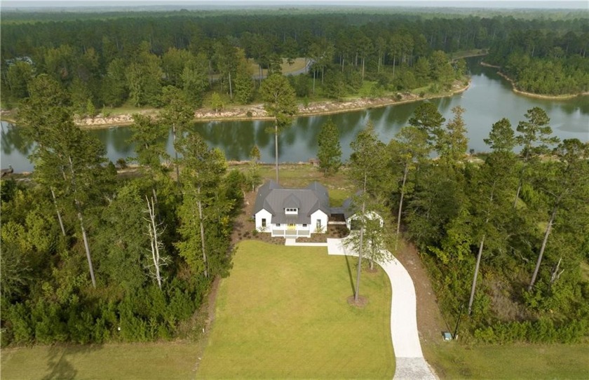 NEW LAKEFRONT HOME WITH PRIVATE DOCK!! Construction is nearly - Beach Home for sale in Brunswick, Georgia on Beachhouse.com