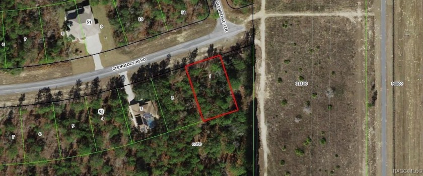 A great sized lot with deep greenbelt.  A treed lot for privacy - Beach Lot for sale in Homosassa, Florida on Beachhouse.com