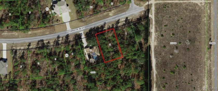 A great sized lot with deep greenbelt.  A treed lot for privacy - Beach Lot for sale in Homosassa, Florida on Beachhouse.com