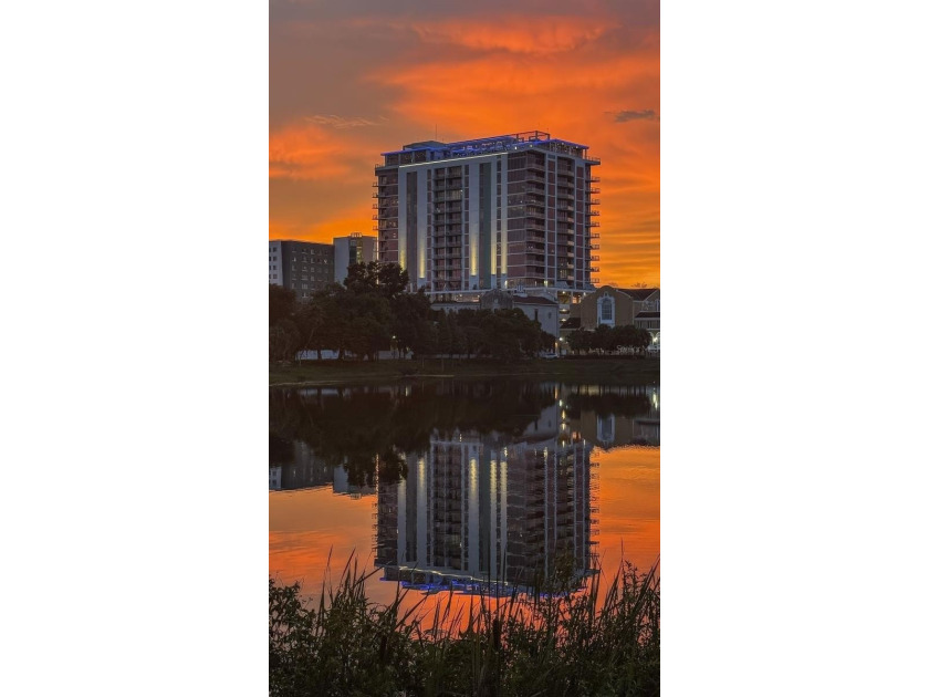 The Lapis at REFLECTION blends modern design with downtown St - Beach Condo for sale in St. Petersburg, Florida on Beachhouse.com