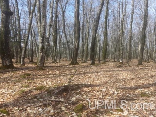 A beautifully wooded 48 acre parcel in Big Bay. This property - Beach Acreage for sale in Big Bay, Michigan on Beachhouse.com