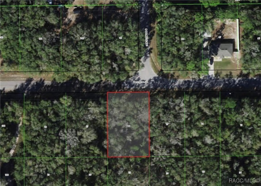 DON'T MISS OUT! Build Your FOREVER HOME on .29 Acres in Sunshine - Beach Lot for sale in Crystal River, Florida on Beachhouse.com