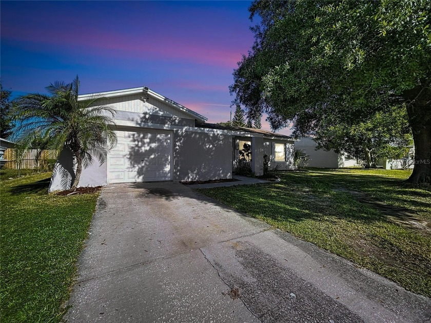 Move-In Ready Gem in the Heart of Apollo Beach - No HOA, No CDD! - Beach Home for sale in Apollo Beach, Florida on Beachhouse.com