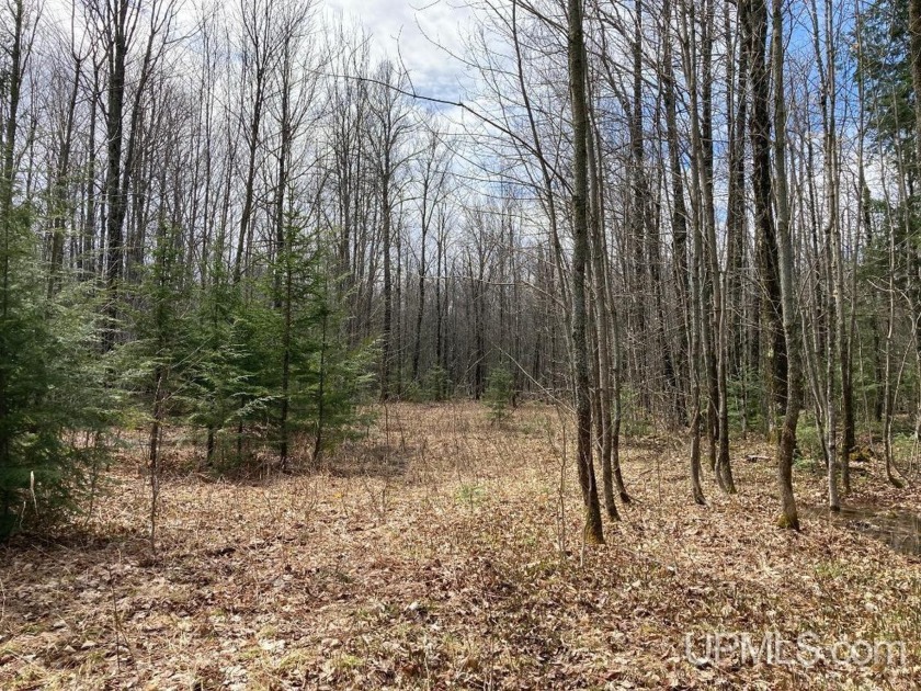 NATURE IS YOUR NEIGHBOR! This 19 acre, heavily wooded parcel - Beach Acreage for sale in Ironwood, Michigan on Beachhouse.com