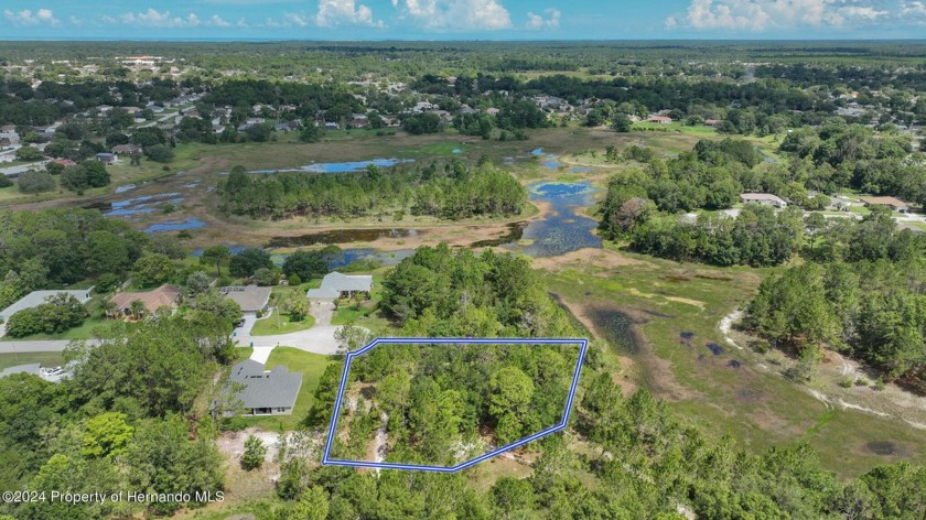 This one checks all the boxes. A beautiful oversized, cul de sac - Beach Lot for sale in Spring Hill, Florida on Beachhouse.com