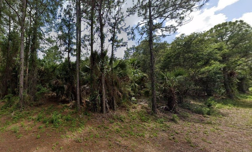 Build your home in a quiet and convenient location yet far - Beach Lot for sale in North Port, Florida on Beachhouse.com