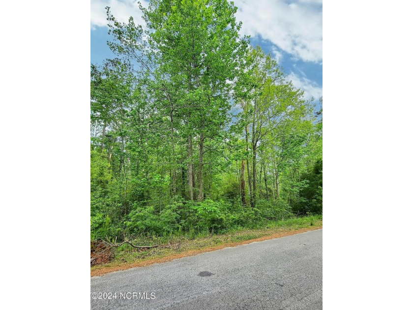 Discover Your Dream Home Location!
Nestled in the picturesque - Beach Acreage for sale in Havelock, North Carolina on Beachhouse.com