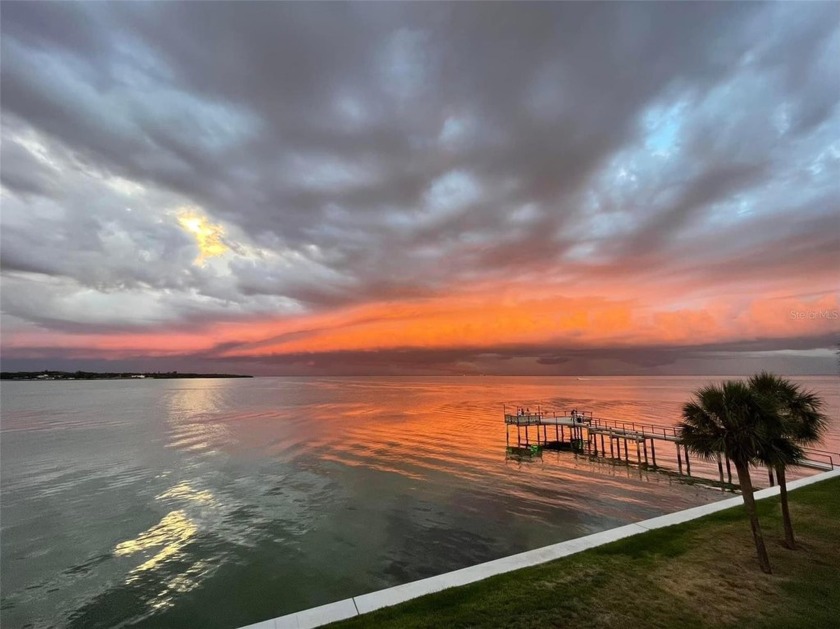 Spectacular living at SeaPointe Terrace at the South Tip of St - Beach Condo for sale in St. Petersburg, Florida on Beachhouse.com