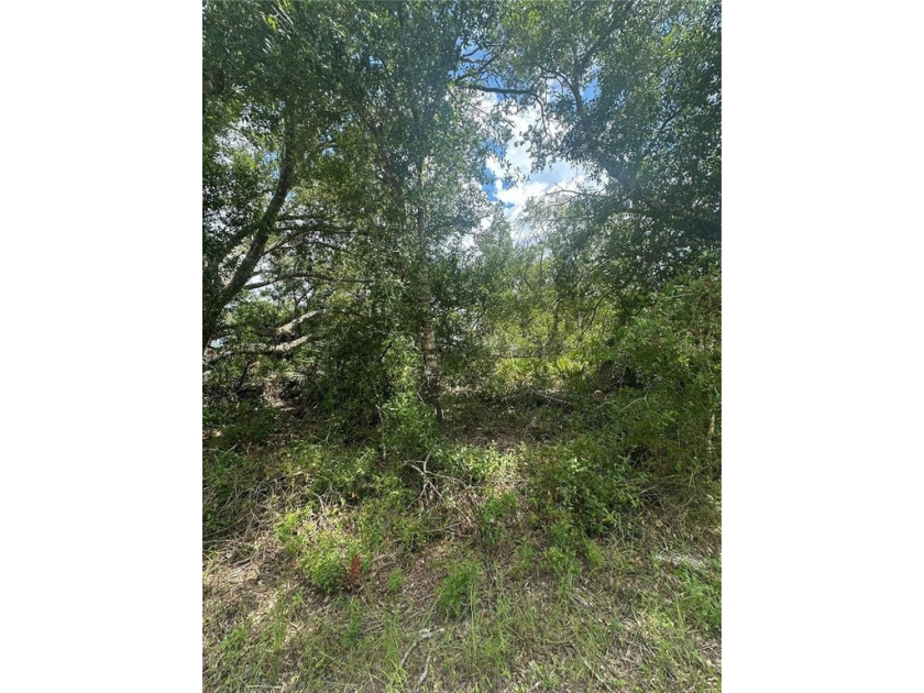 Exceptional Opportunity in North Port Build Your Dream in a - Beach Lot for sale in North Port, Florida on Beachhouse.com