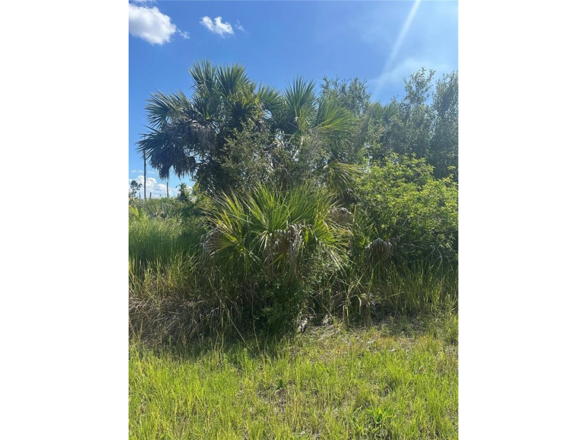 Exceptional Opportunity in North Port Build Your Dream in a - Beach Lot for sale in North Port, Florida on Beachhouse.com