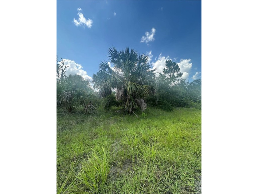 Exceptional Opportunity in North Port Build Your Dream in a - Beach Lot for sale in North Port, Florida on Beachhouse.com