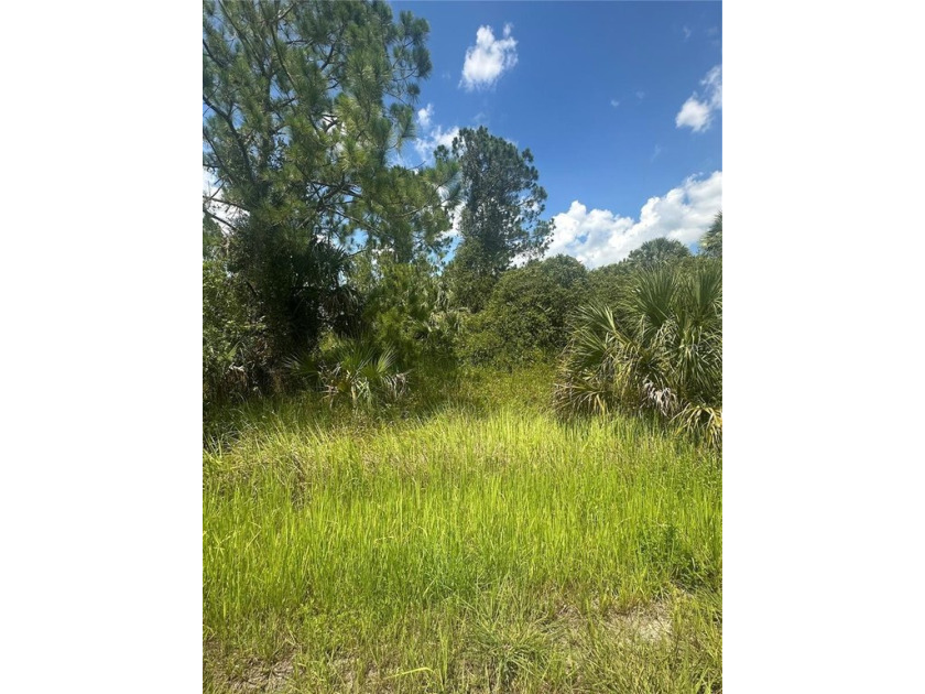 Exceptional Opportunity in North Port Build Your Dream in a - Beach Lot for sale in North Port, Florida on Beachhouse.com