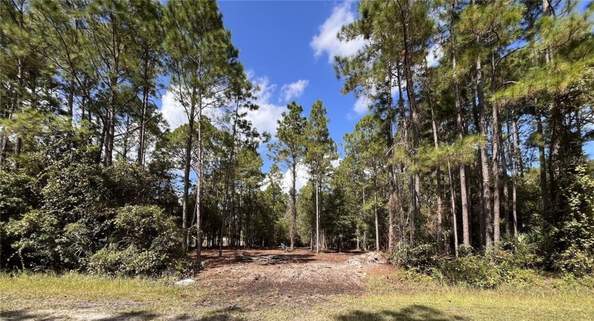 1.14 CLEARED LOT NOT IN A FLOOD ZONE AND NO HOA! This lot has - Beach Lot for sale in Bunnell, Florida on Beachhouse.com