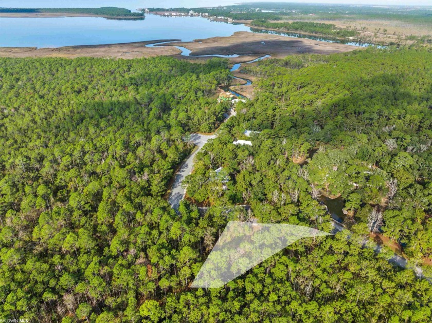 Beautiful and secluded lot located in one of Gulf Shores most - Beach Lot for sale in Gulf Shores, Alabama on Beachhouse.com