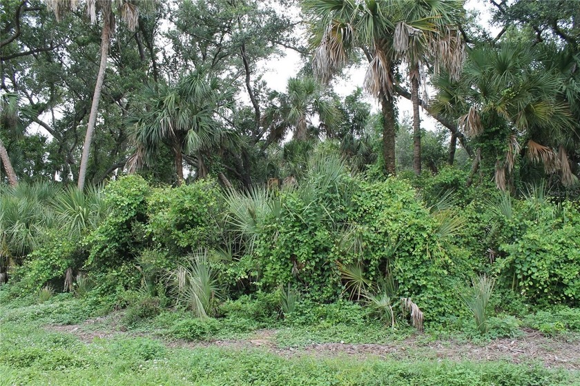 80 ft x 125 ft this lot is large enough for a new home and a - Beach Lot for sale in Port Charlotte, Florida on Beachhouse.com