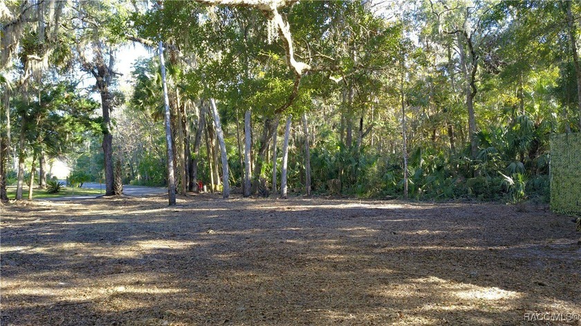 Here is the perfect opportunity to build your dream home on this - Beach Lot for sale in Homosassa, Florida on Beachhouse.com
