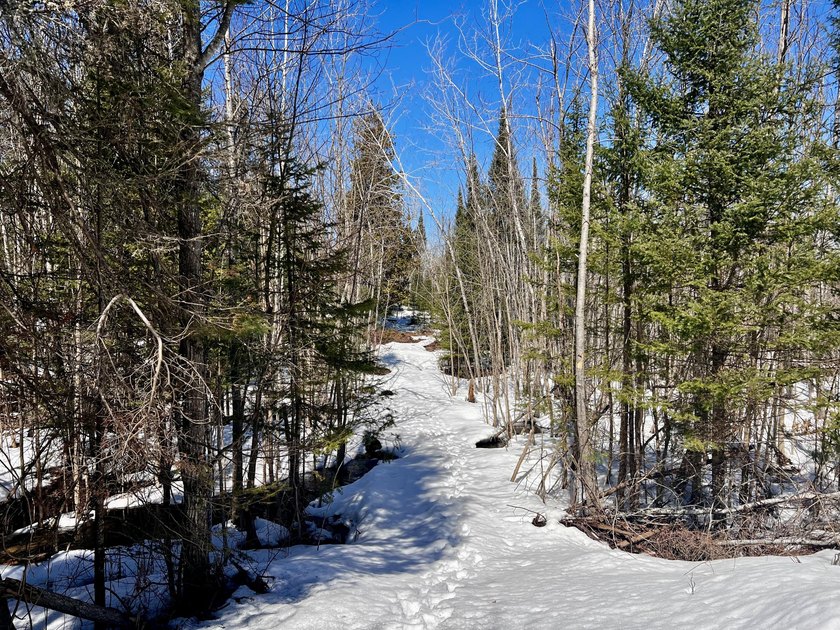 Discover your own slice of Northern Michigan on this beautiful - Beach Acreage for sale in Cheboygan, Michigan on Beachhouse.com