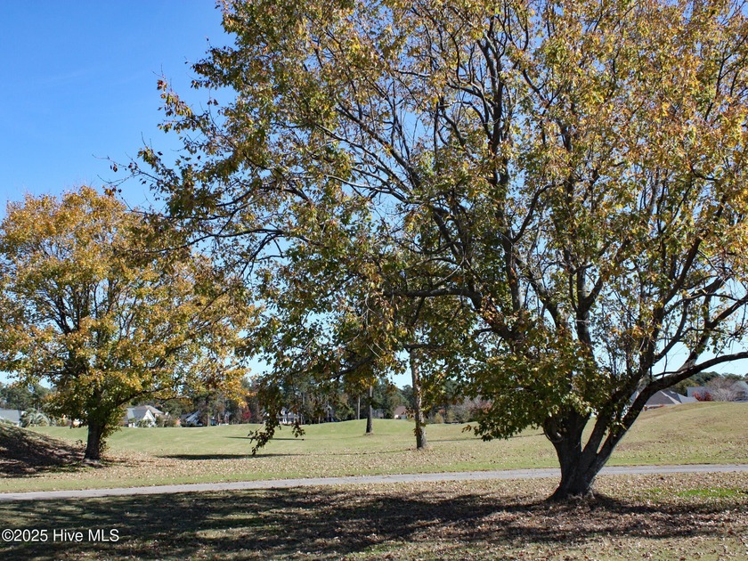 Golf Course Homesite located in Sedgefield. Certain home plans - Beach Lot for sale in Ocean Isle Beach, North Carolina on Beachhouse.com
