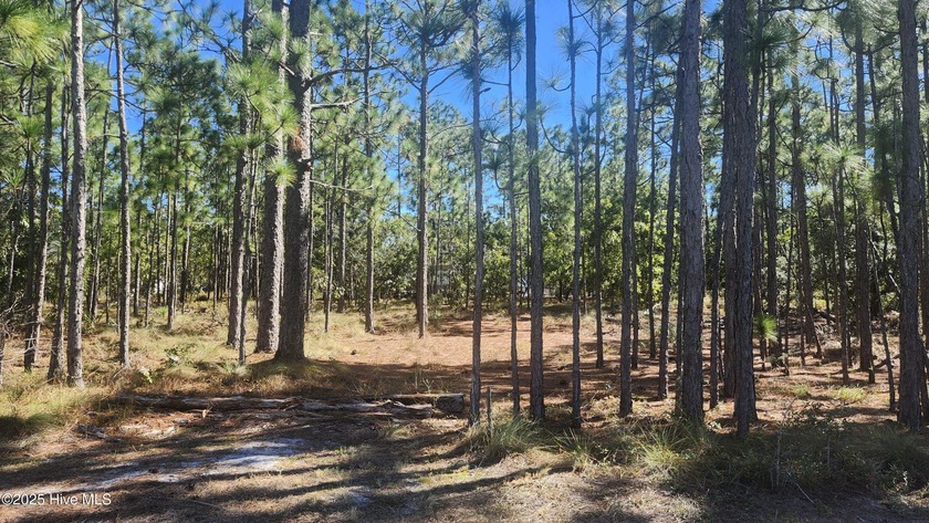 Build your dream home in the growing community of Boiling Spring - Beach Lot for sale in Southport, North Carolina on Beachhouse.com