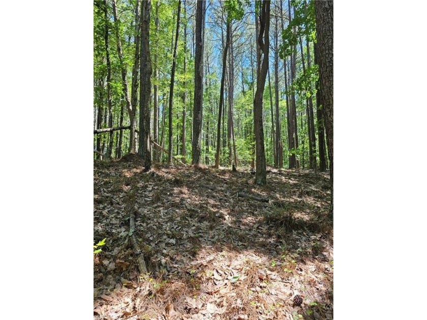 Priced under assessment is the rare opportunity to have 2 lots - Beach Acreage for sale in Smithfield, Virginia on Beachhouse.com