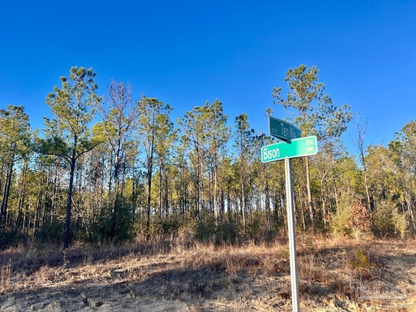 This beautiful 6.3 Acre Parcels is situated at the corner of Ten - Beach Acreage for sale in Pace, Florida on Beachhouse.com