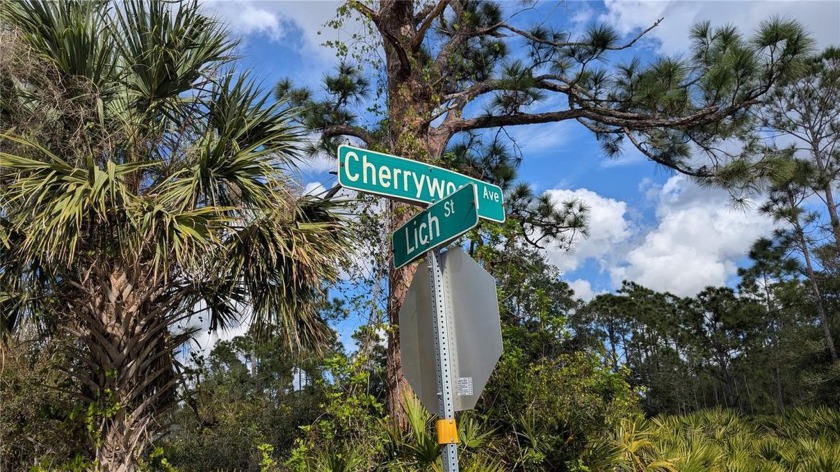 Welcome to Cherrywood Avenue, located in quiet region of Port - Beach Lot for sale in Punta Gorda, Florida on Beachhouse.com