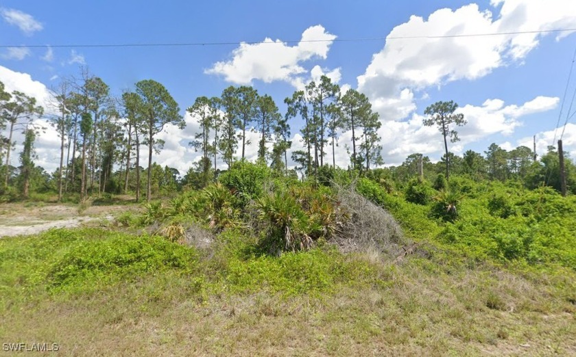 Imagine the possibilities! This vacant residential lot presents - Beach Lot for sale in Lehigh Acres, Florida on Beachhouse.com